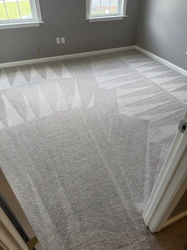 Carpet Steam Cleaning