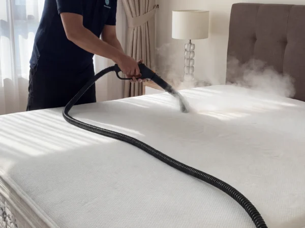 Mattress Clean Service